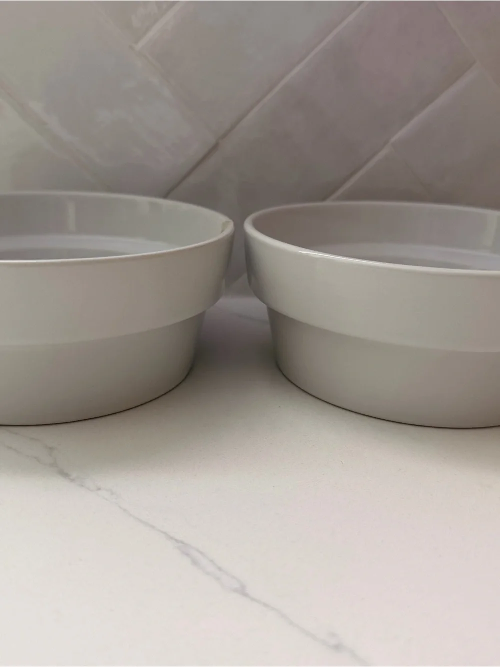 Blue Stainless Steel Pet Bowl & White Silicone Base and Two White Ceramic Bowls